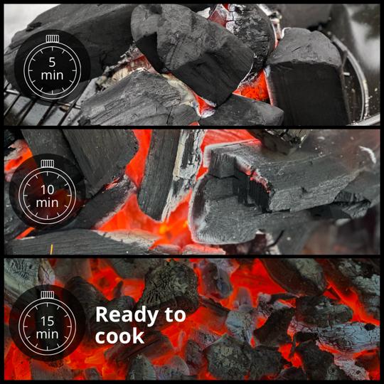 Birch charcoal 10kg Pallet