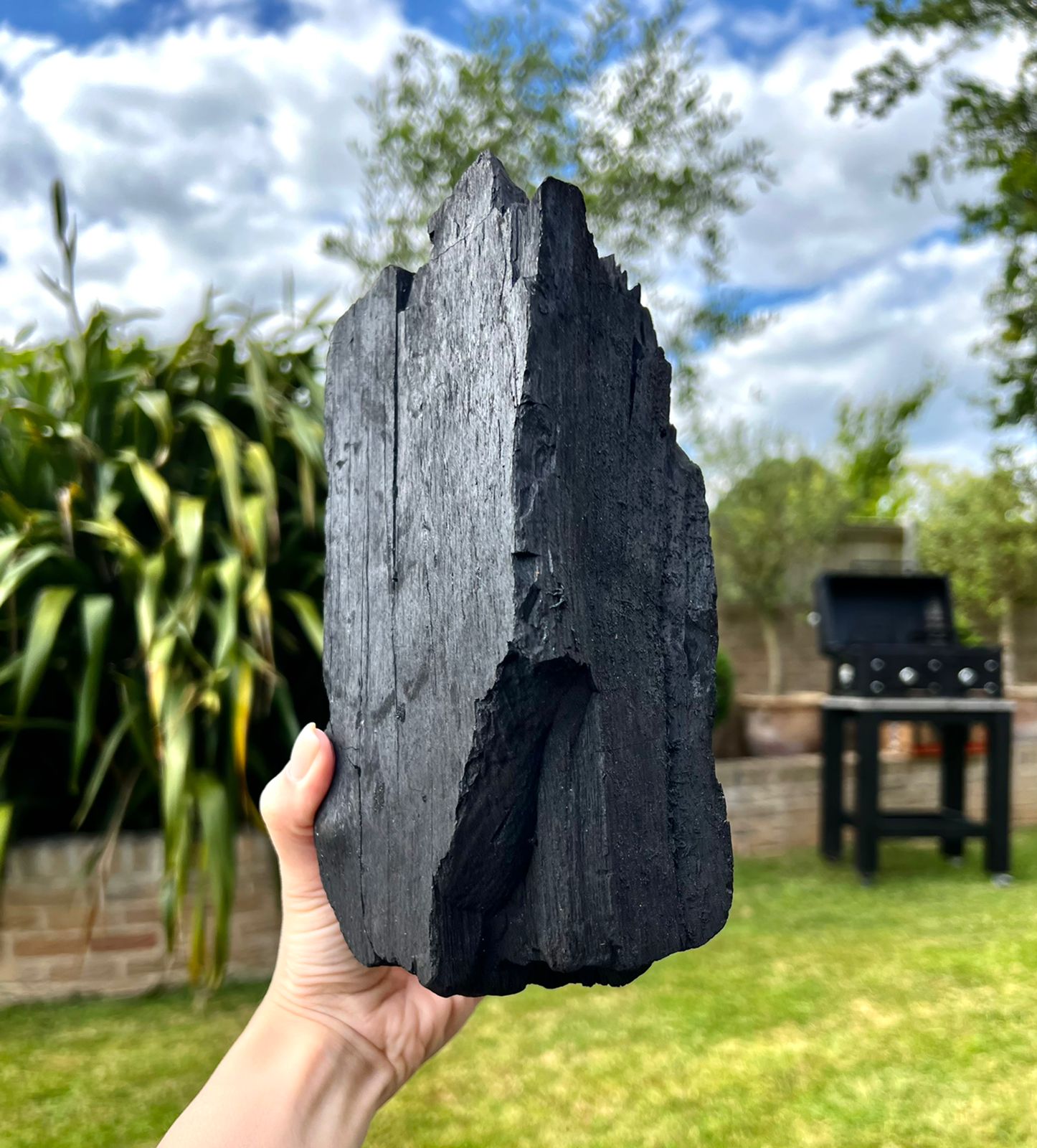 How to choose the right charcoal and save your time?