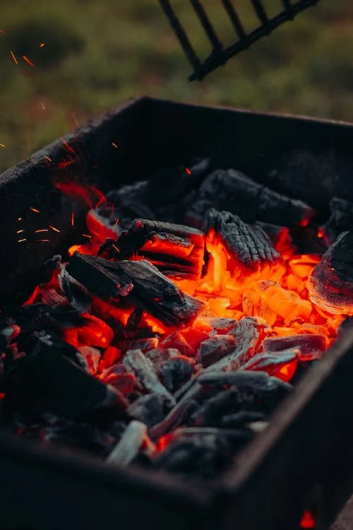 Survival Grilling: Charcoal Cooking Techniques for Autumn Picnics in the Great Outdoors