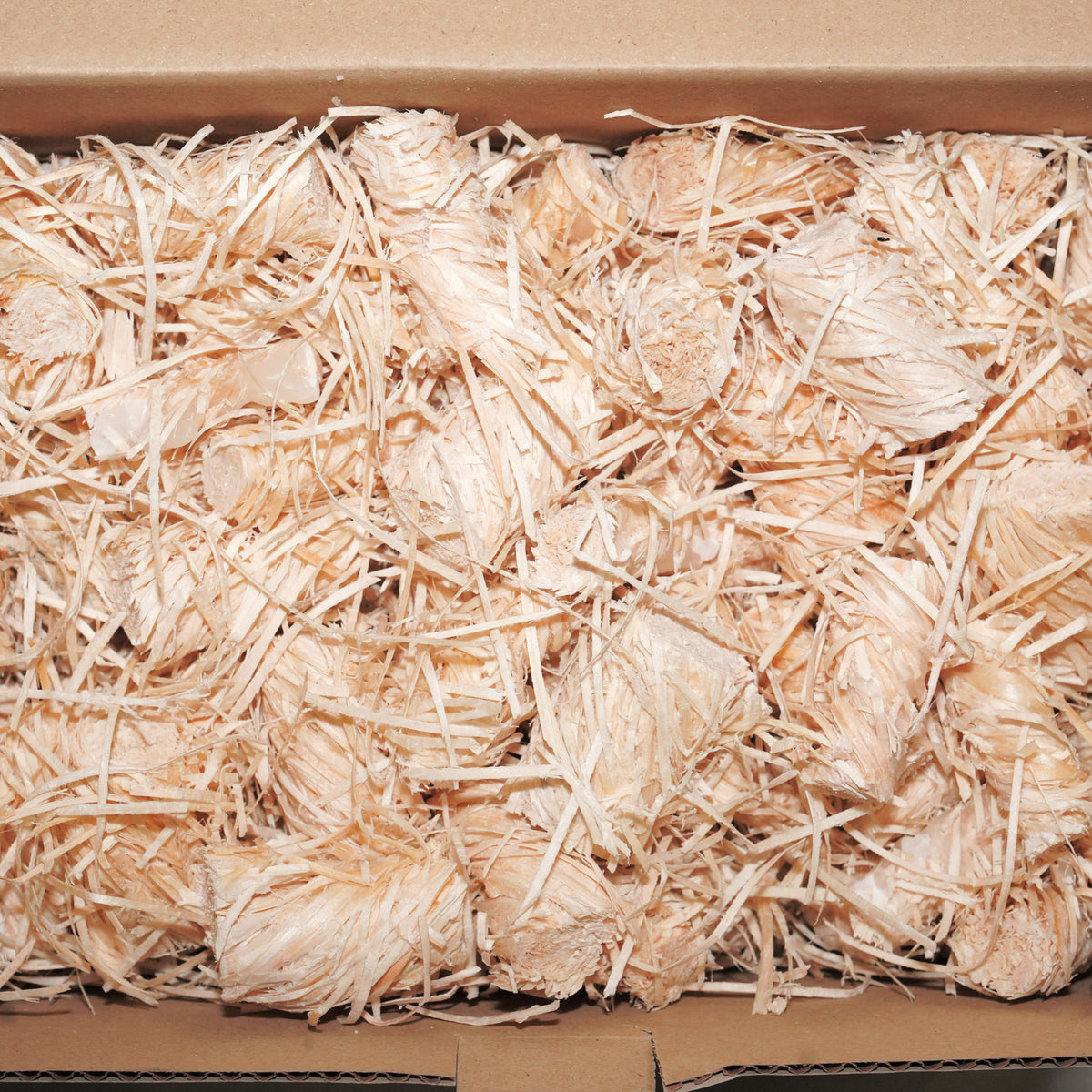 Wood Wool Eco Firelighters - 1 box - Globaltic