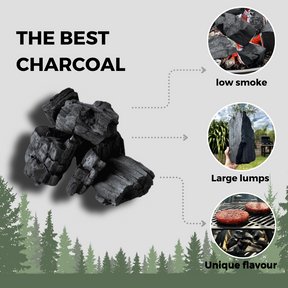 Birch Lumpwood Charcoal 10 kg - Globaltic