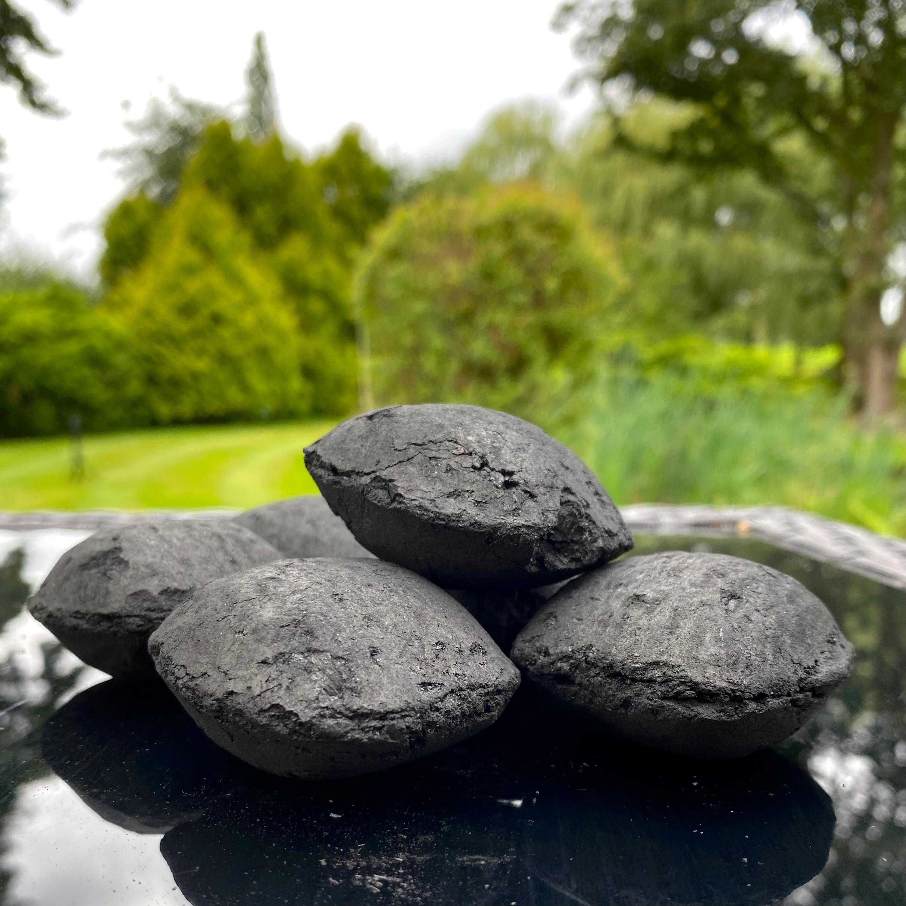 Birch Charcoal Briquettes 10kg - Globaltic