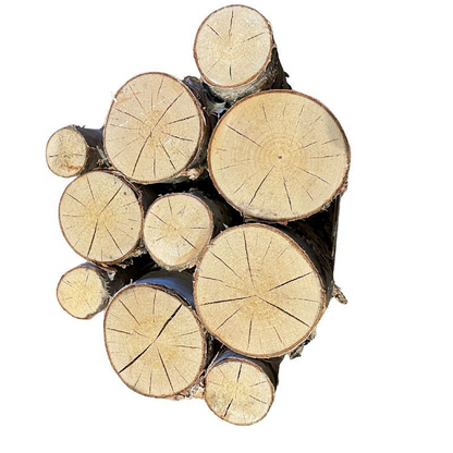 Decorative Silver Birch Logs - Bundle of 10 logs